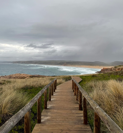 walkway down to beach